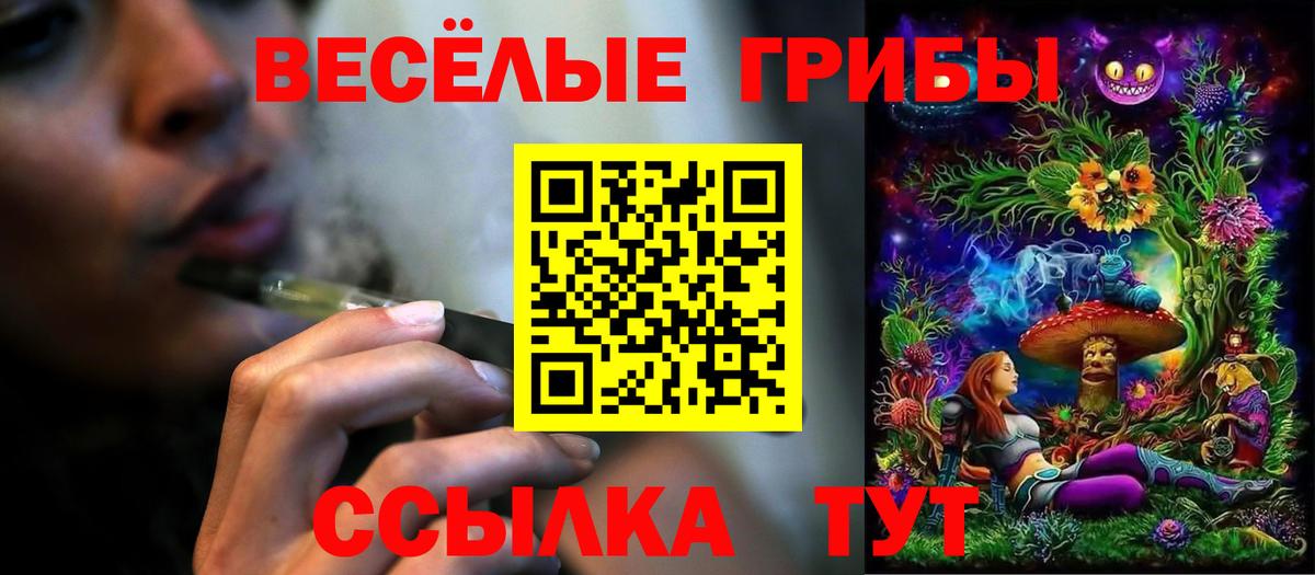 Щёлково  Галлюциногенные грибы Magic Shrooms  Вход с VPN 